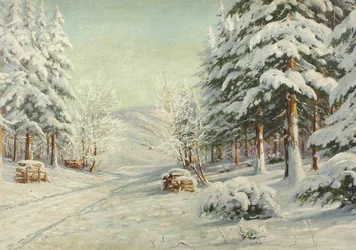 Paisaje invernal
